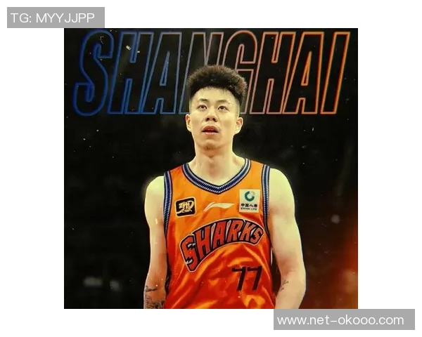 张镇麟：从青年篮球新星到国家队核心的成长之路与未来展望