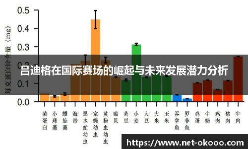 吕迪格在国际赛场的崛起与未来发展潜力分析